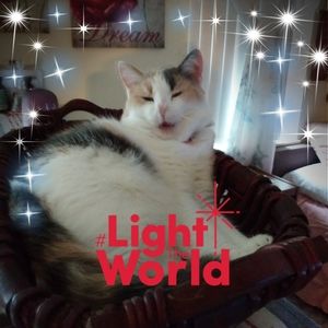 Meet your Posher, Debra